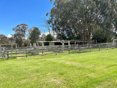1032 Old Tolmie Road, Barwite
