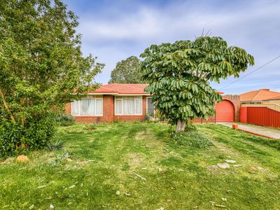 6 Linthorne Way, Balga