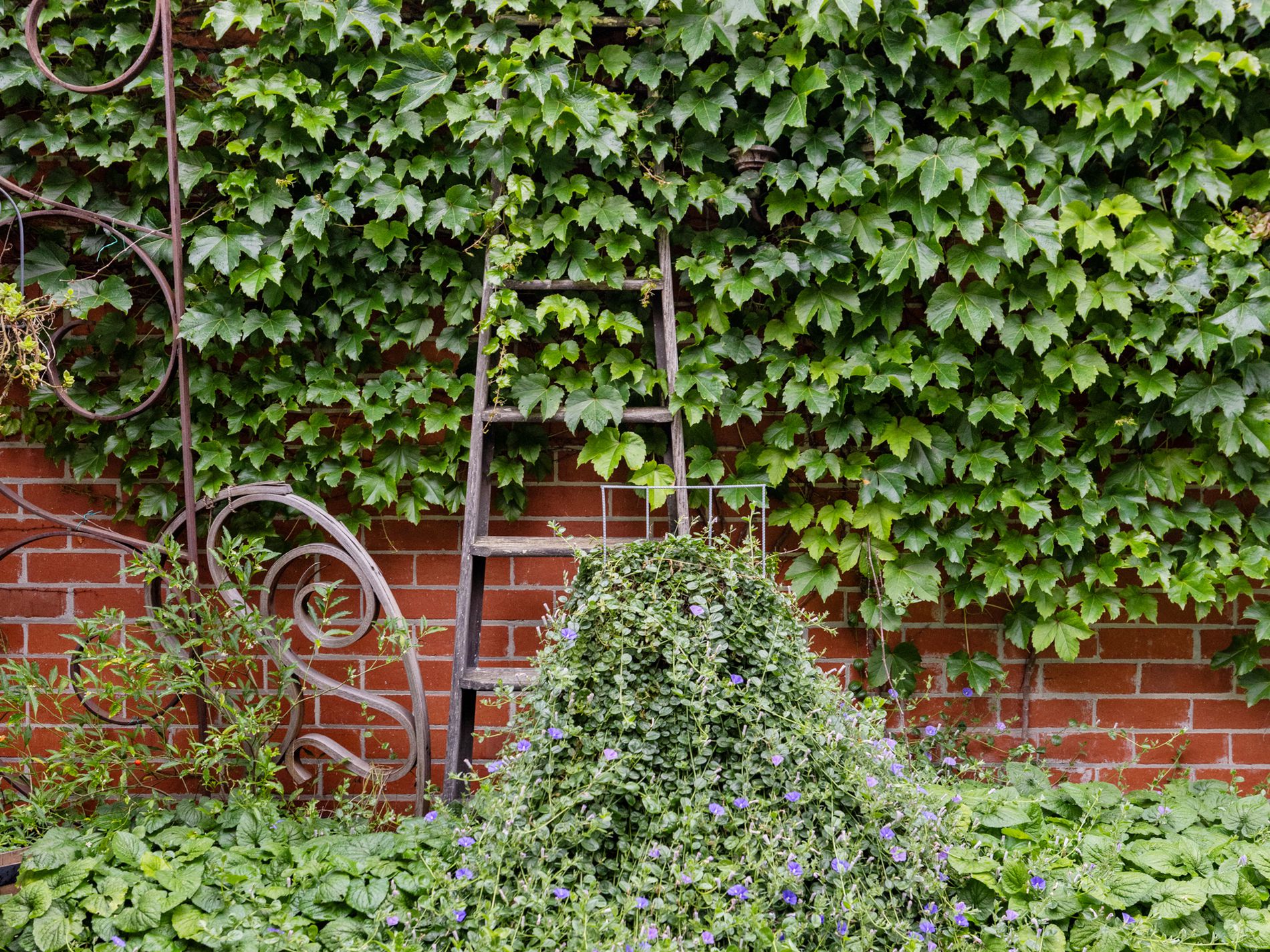 52 Langs Road, Ascot Vale