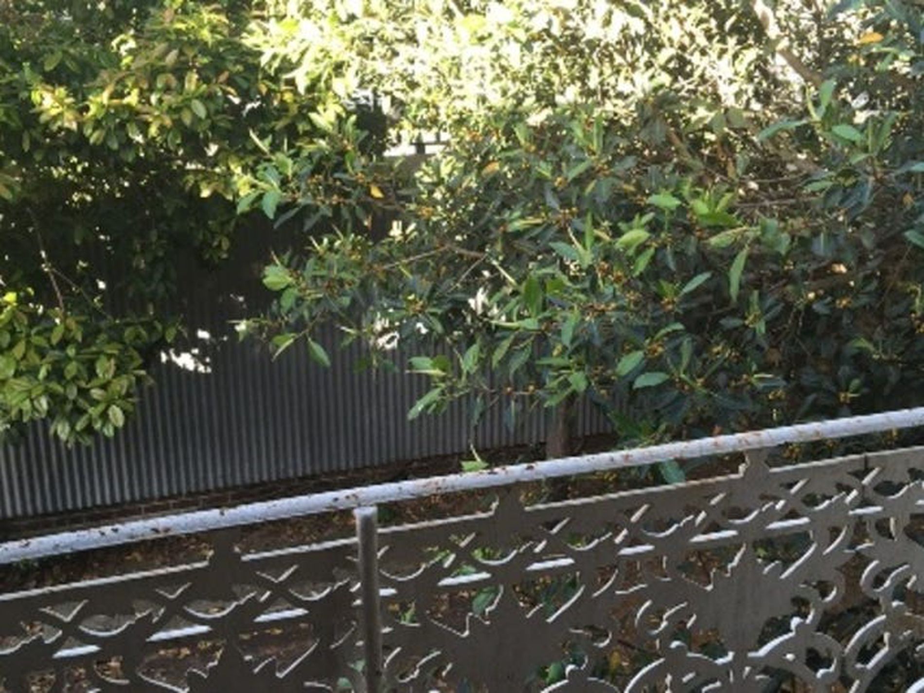 9 Watson Street, Paddington