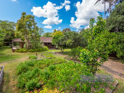 6 Coolamon Avenue, Mullumbimby