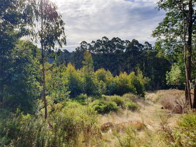 Lot 8 Paddys Lane, Franklin