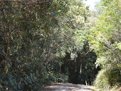 16 Lower Trail Road, Maleny