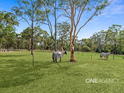 176 Evelyn Road, Tomerong