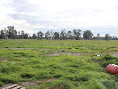 Lot 122, Punt Road, Barham