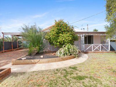 117 Campbell Street, Lamington