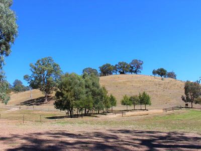 1286 Howes Creek Road, Mansfield