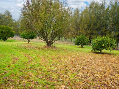 164 HUON KIEWA ROAD, Tangambalanga