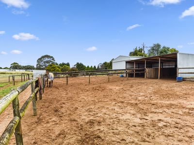 29666 Princes Highway, Glenburnie