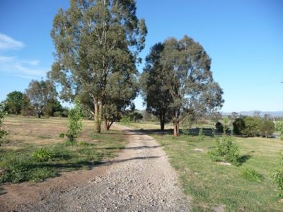 Lot 61 Burma Road, Table Top