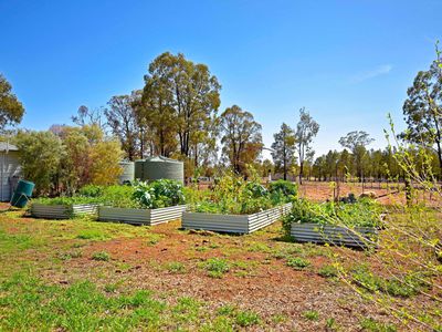 6L Terra Drive, Dubbo