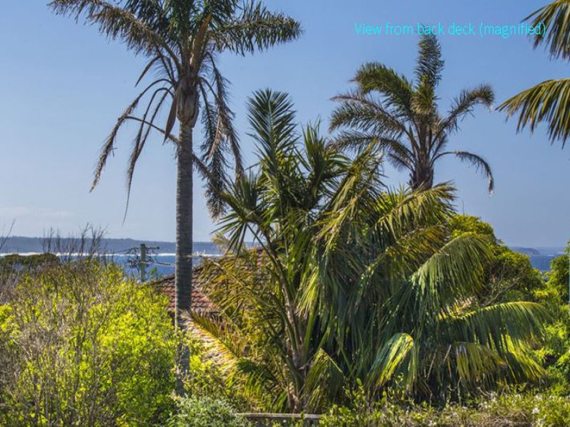 6 Bellbird Close, Mollymook