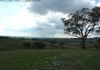 129 Mt Top Road, Orange