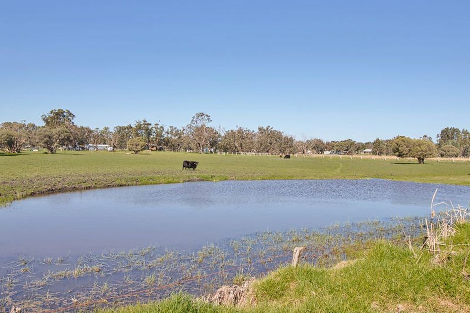 310 Young Road , Baldivis