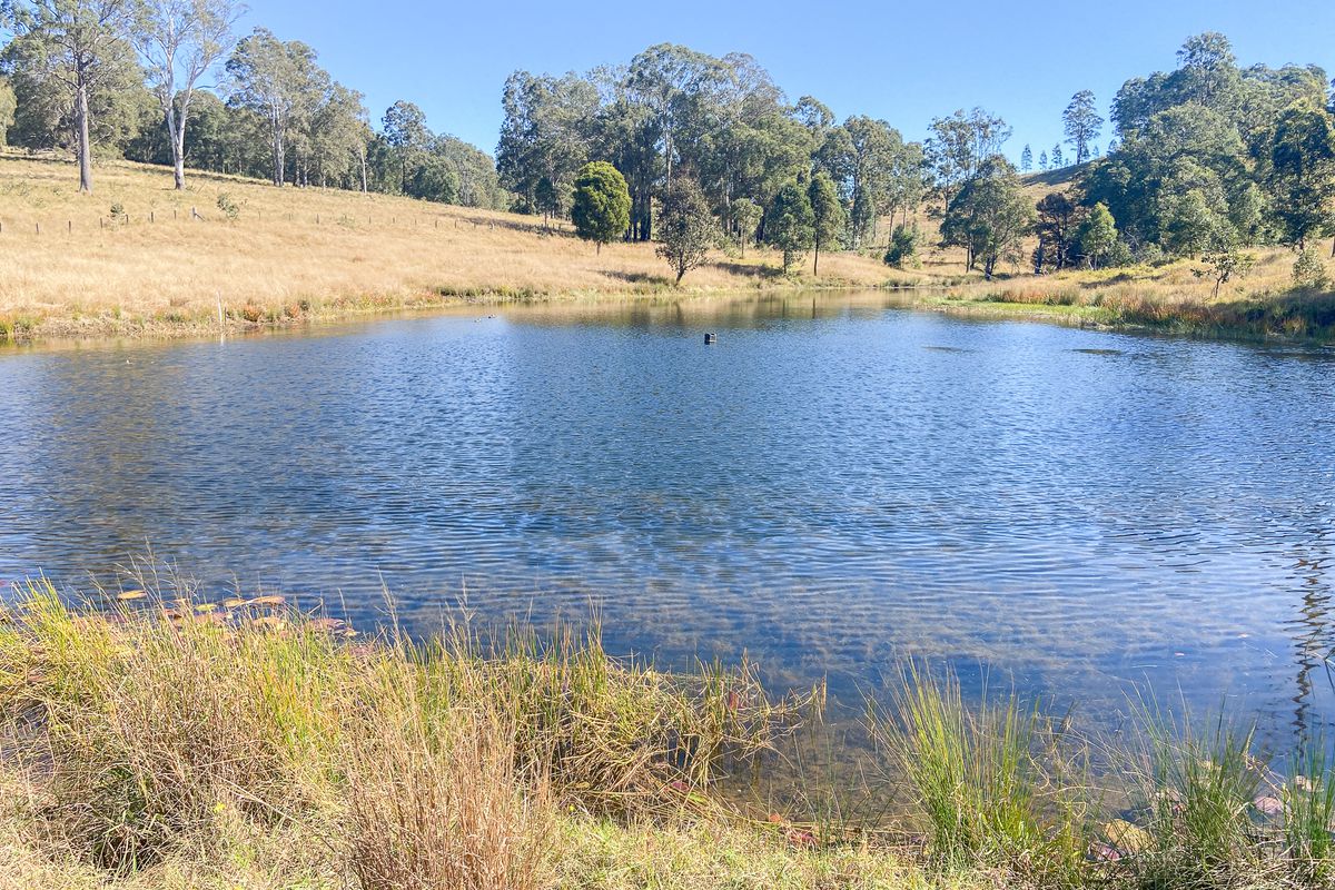 79 Mooral Creek Road, Wingham