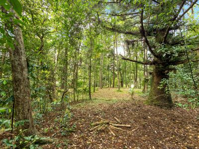 10 Wust Road, Cooroy