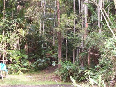 Maleny