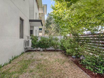 1 / 35 Brushfoot Boulevard, Success