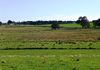 Lot 42, 46 Forest Road, Orange