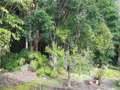 14 Stephen Street, Forster