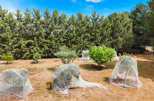 8 Pine Grove, Mickleham