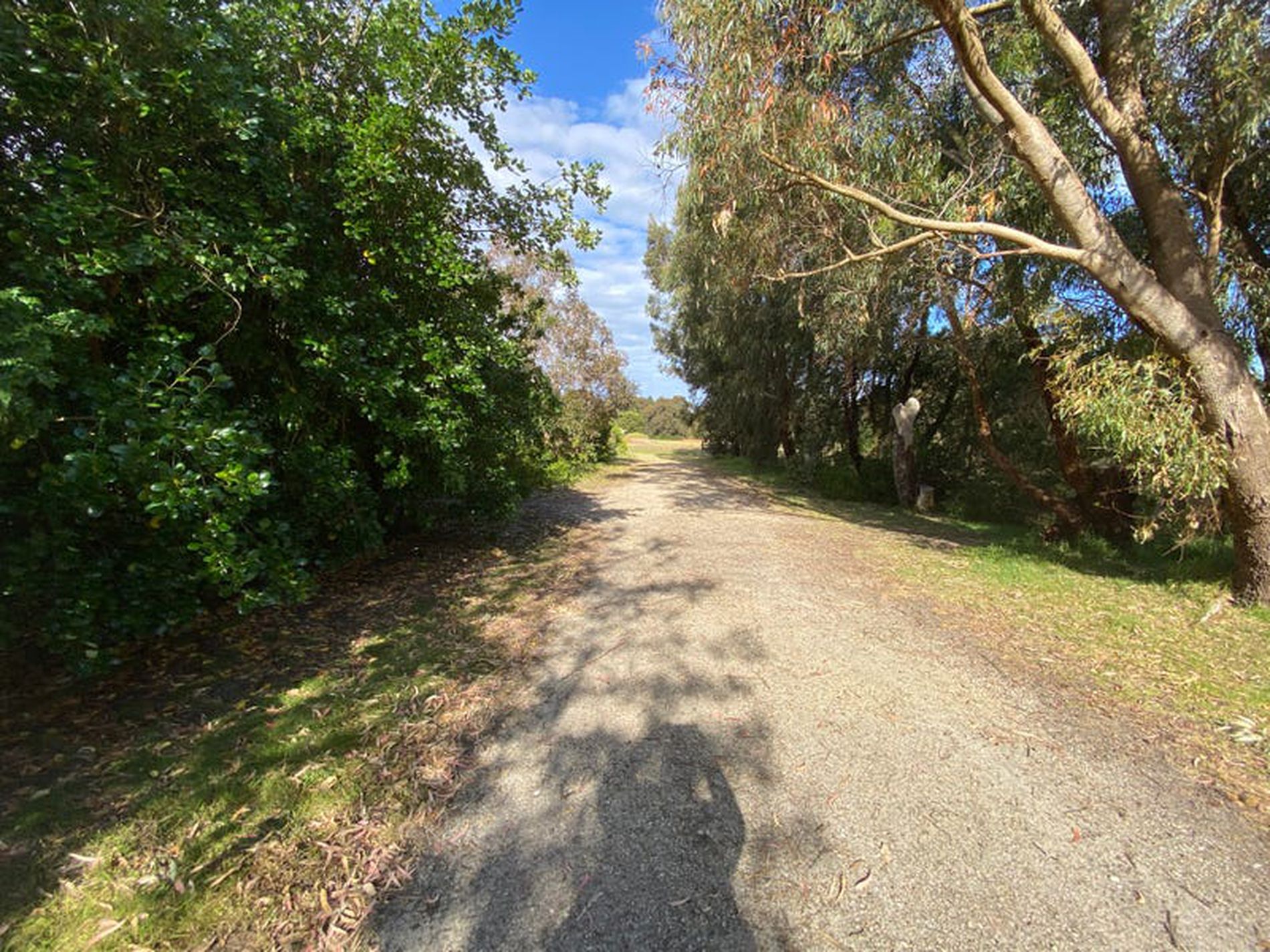 135 Briody Drive, Torquay