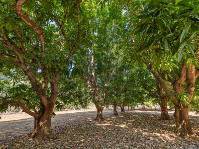 120 Kanagae Drive, Roebuck