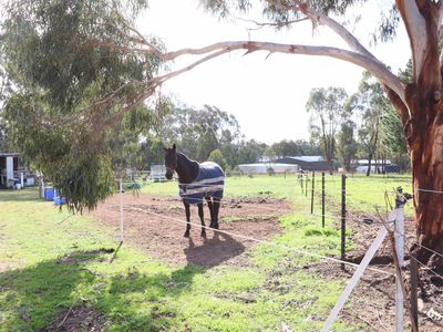 381 Warrowitue-Forest Road, Heathcote