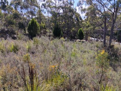 152 Esperance Coast Road, Surges Bay