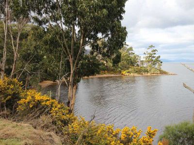 778 Cygnet Coast road, Petcheys Bay