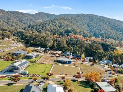 Lot 26, 7 Fiddleback Drive, Tawonga South