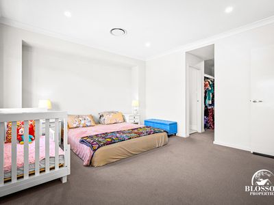 6 Cheshire Street, Marsden Park