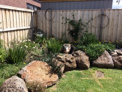 17 Stonebridge Road, Drysdale