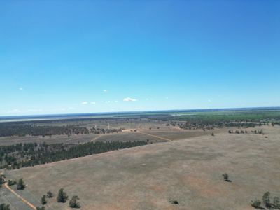 Lot  LOT 1 LP135805, 1  Cocketgedong Road, Urana