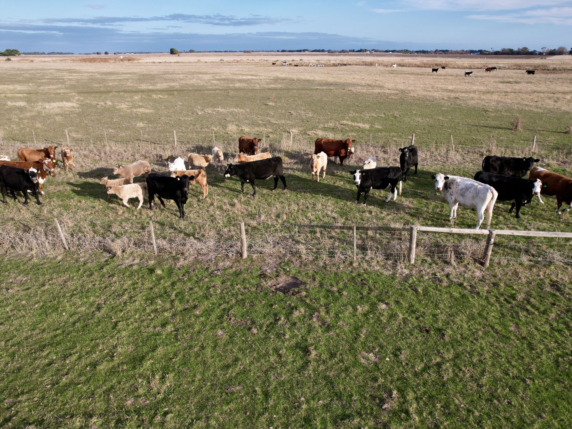 Lot 1, Lot 417 & 429, Sebastopol Springs Rd , Sebastopol