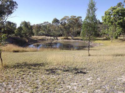 793 Limestone Cave Road, Ashford
