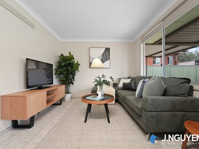 45 Tenella Street, Canley Heights