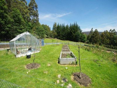 225 Umfrevilles Road, Kaoota