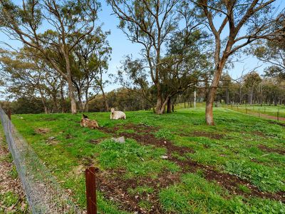 245 Sharps & Taylors Rd, Tallarook