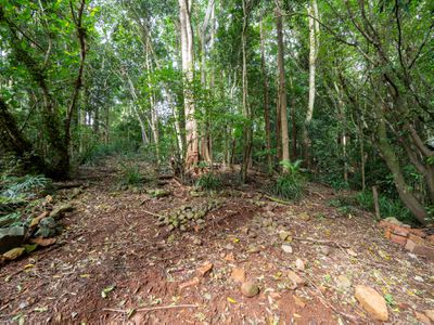 21 Carrington Drive, Flaxton