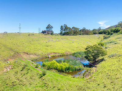 46 Punkalla Tilba Road, Central Tilba