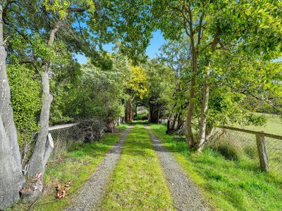 92 Missing Link Road, Wattle Grove