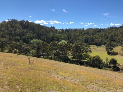 Lot 1, Turn Creek Road, Grove