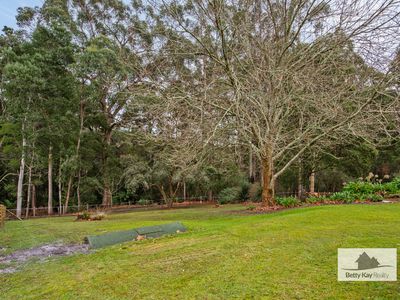  23826  A Bass Highway, Christmas Hills