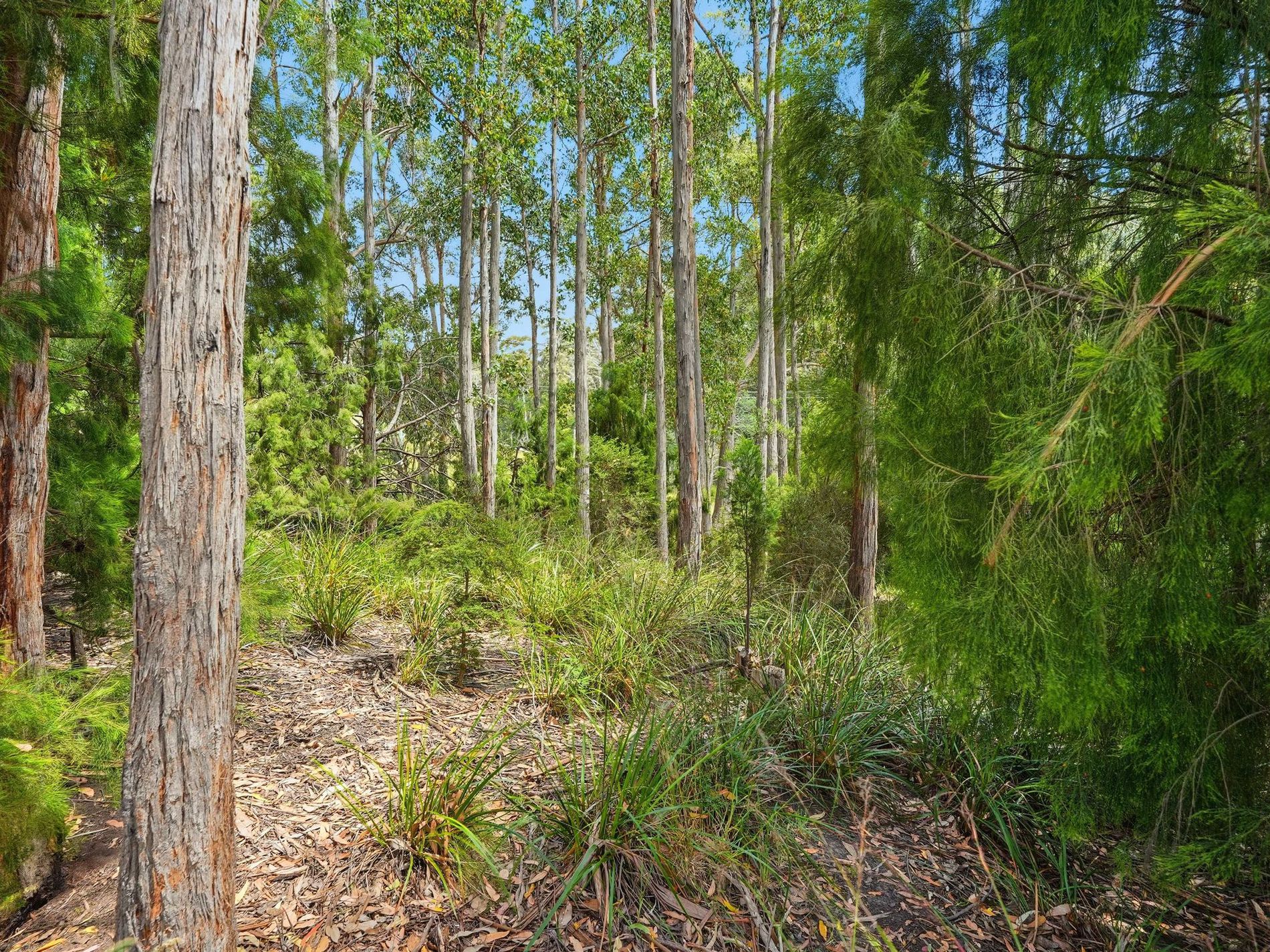 Lot 10, Esperance Coast Road, Dover