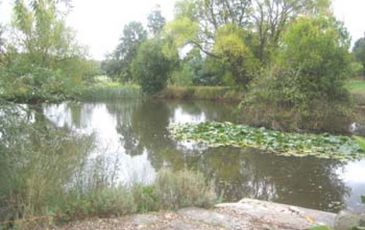 Beaconsfield