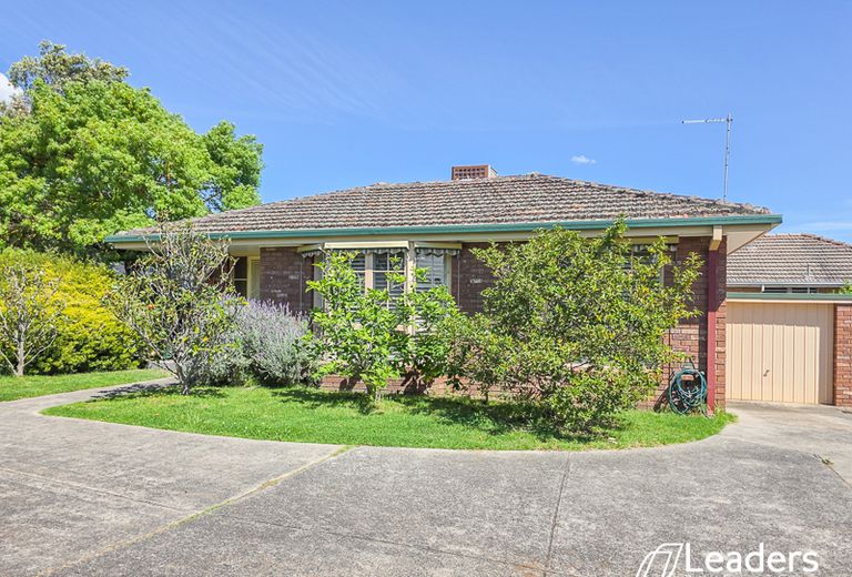 1 / 17 RAYMOND STREET, Ashwood