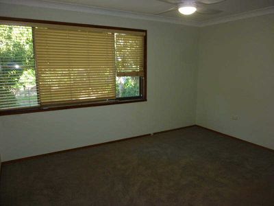 41 Boundary Street, Forster