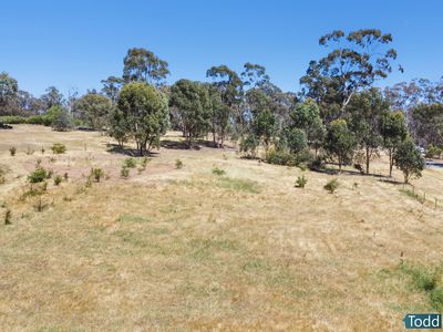 12 Warren Road, Heathcote