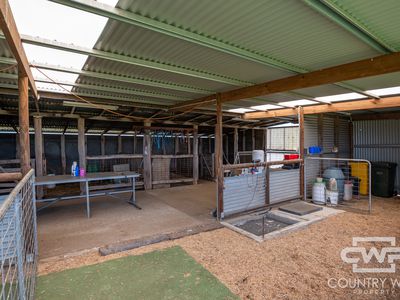 408 Glen Legh Road, Glen Innes